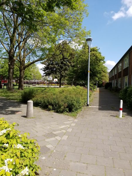 Graan voor Visch 16433