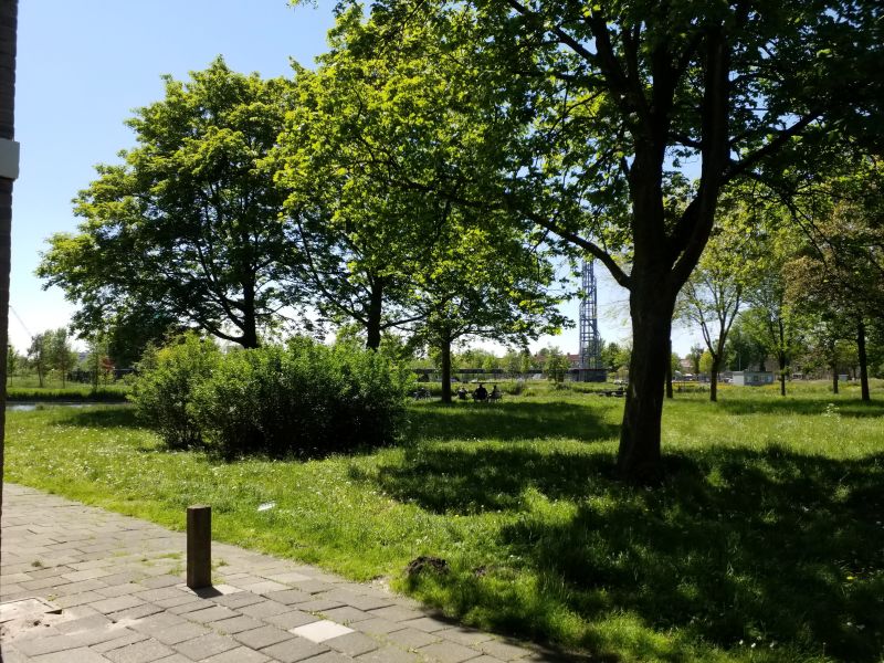 Leonard Springerlaan 8