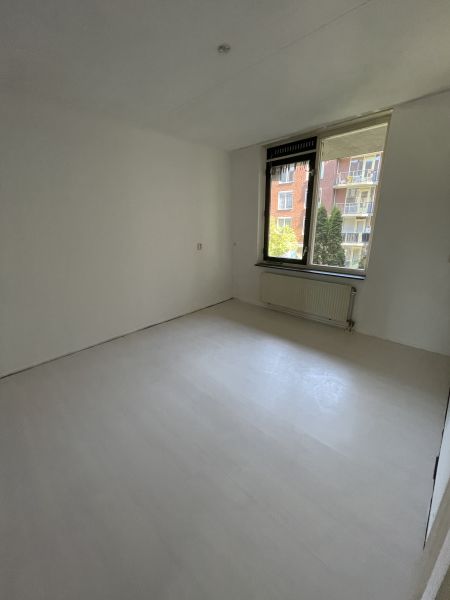 President Steynstraat 60