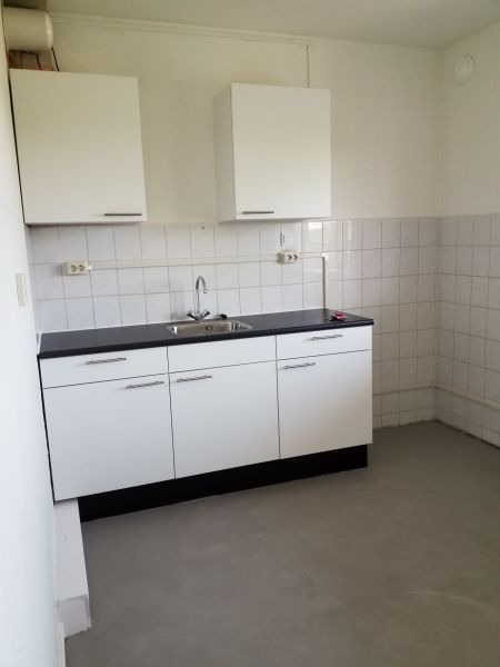 Graan voor Visch 13767