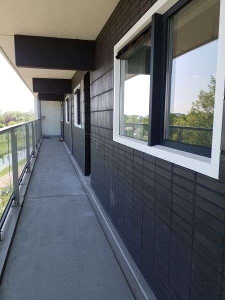 Graan voor Visch 13767