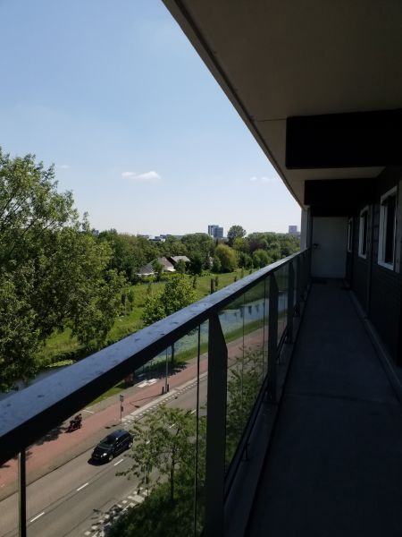 Graan voor Visch 13767