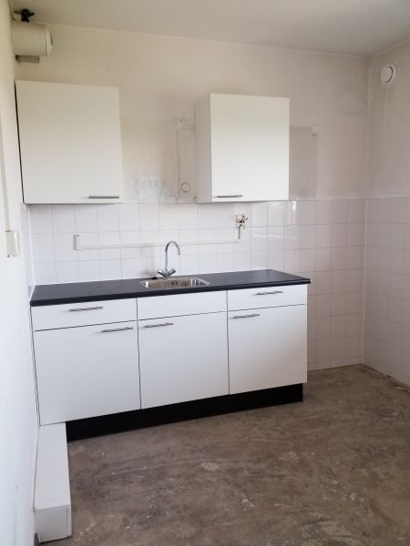 Graan voor Visch 13763