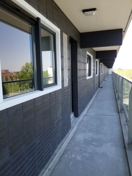 Graan voor Visch 13756