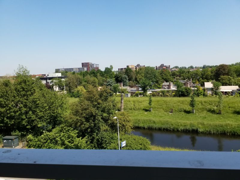 Graan voor Visch 13756