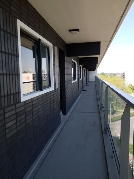 Graan voor Visch 13756