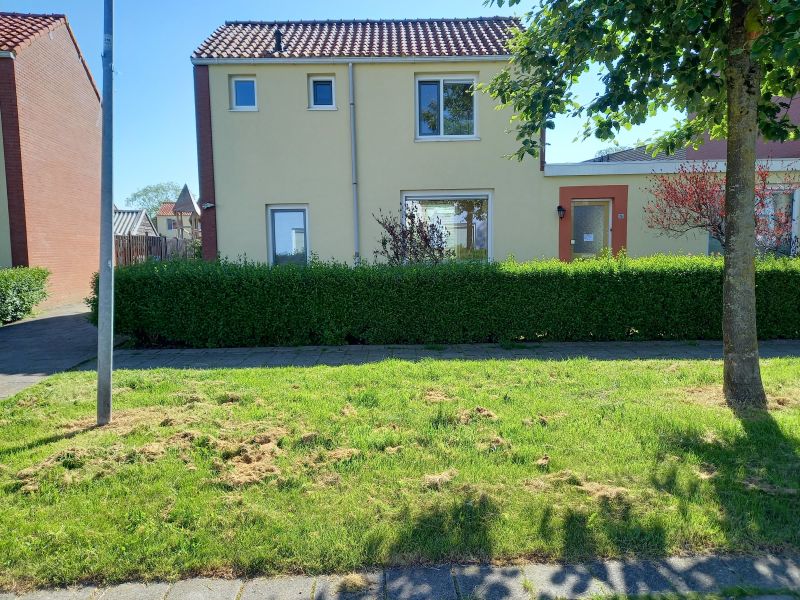 Noorderstraat 24, 9745 AS Groningen, Nederland