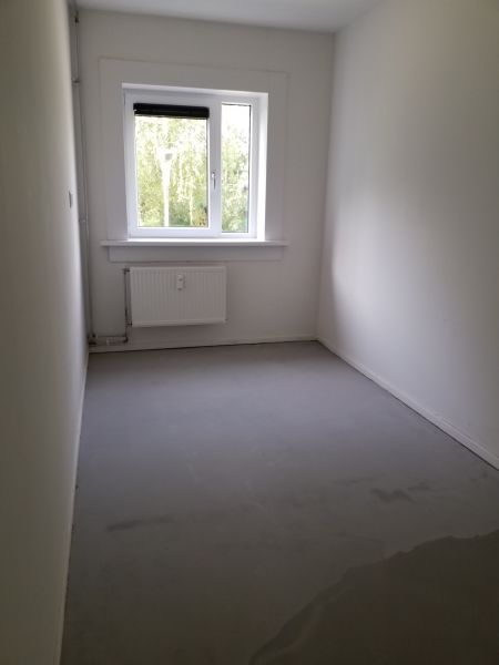 Graan voor Visch 13915