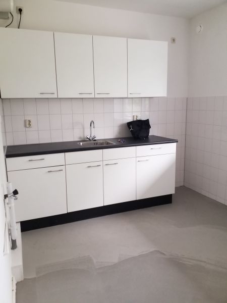 Graan voor Visch 13915