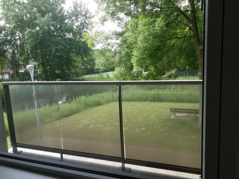 Graan voor Visch 13918