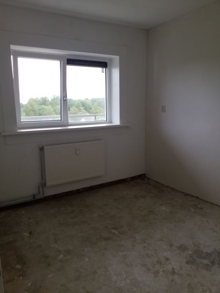 Graan voor Visch 13957