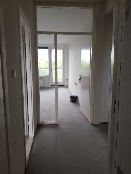 Graan voor Visch 13957