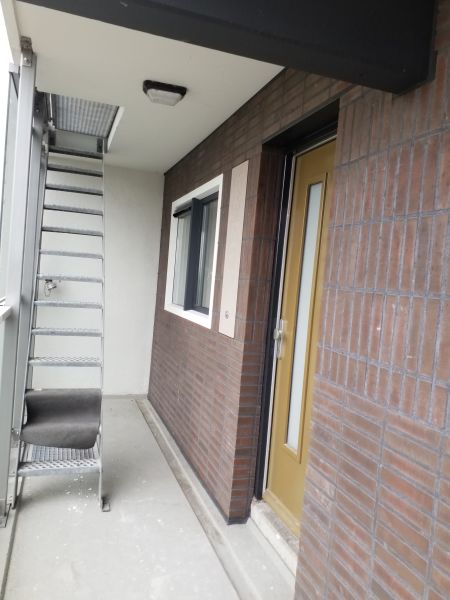 Graan voor Visch 19438