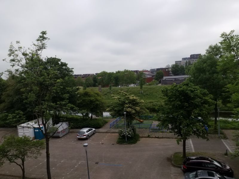 Graan voor Visch 19438