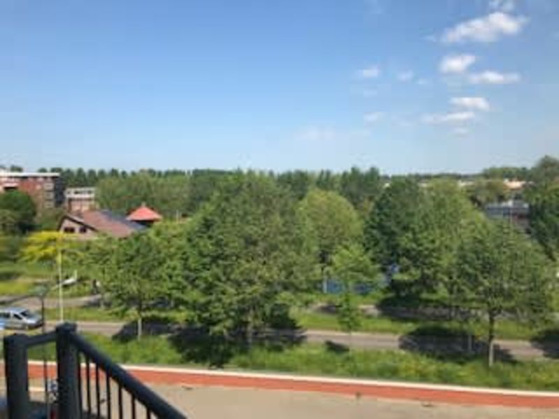 Middenmolenplein 184