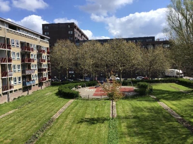 Sam van Houtenstraat 239