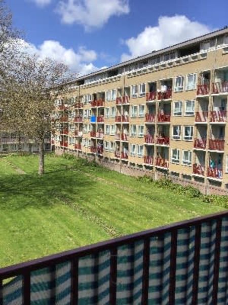 Sam van Houtenstraat 239