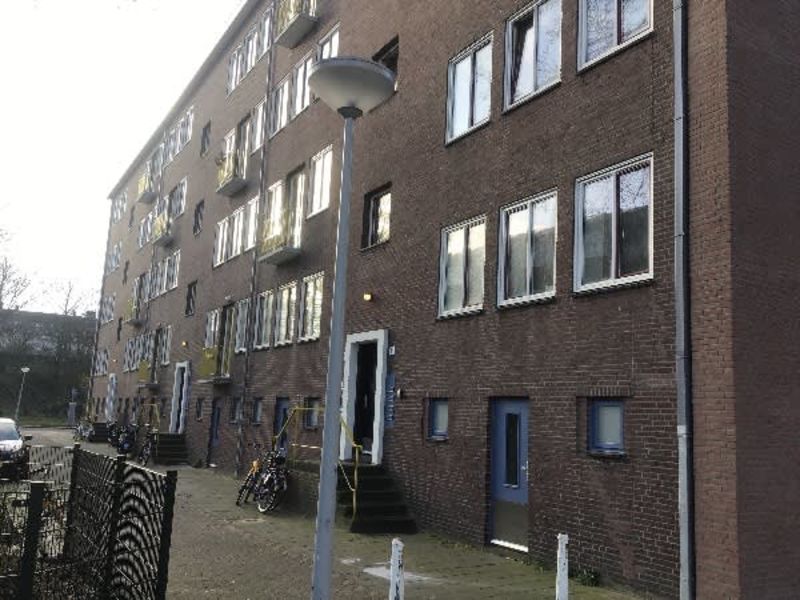 Platanenweg, 1091 KS Amsterdam, Nederland