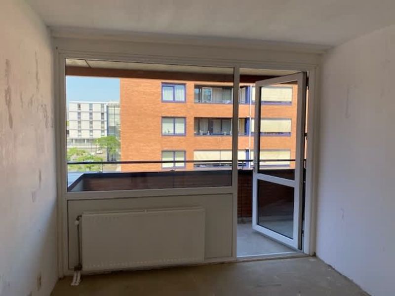 Canadian Grenadier 53