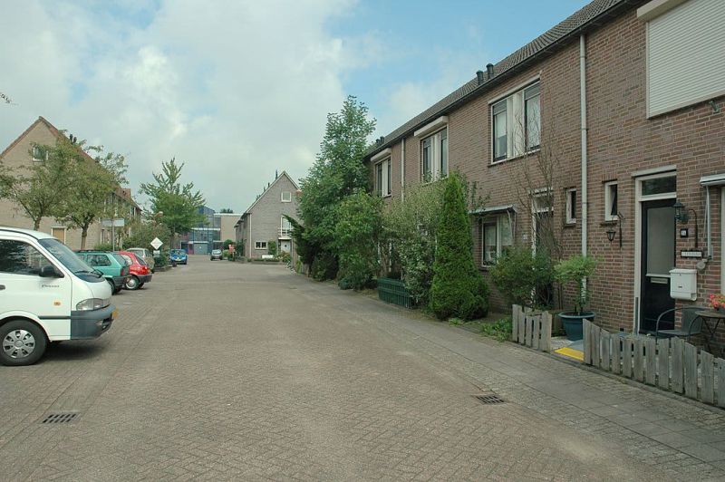 Maria Tesselschadestraat 50, 4207 JZ Gorinchem, Nederland