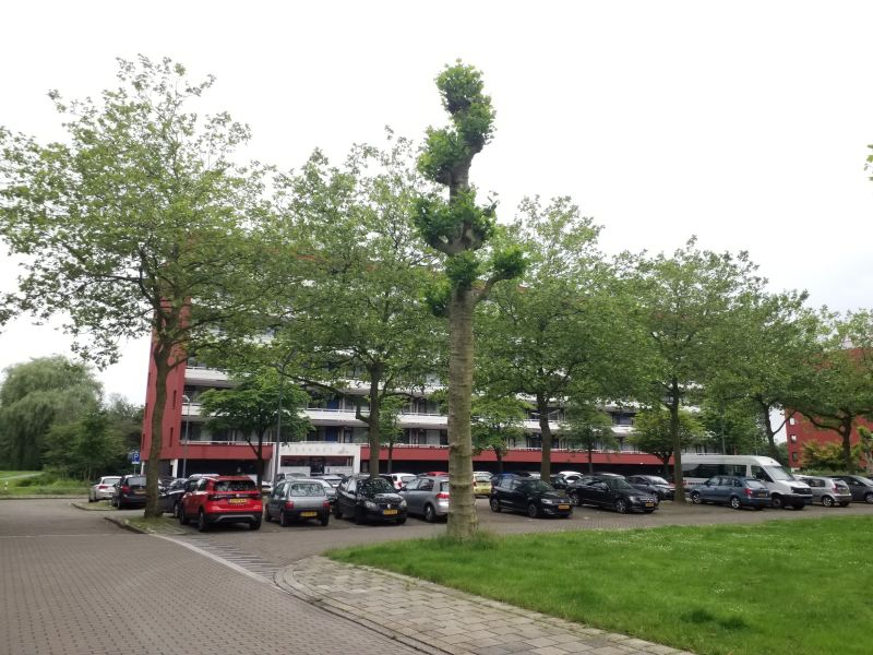 Keulsevaartstraat 641, 1382 CA Weesp, Nederland