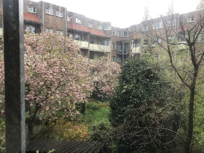 Pieter Lastmankade 189