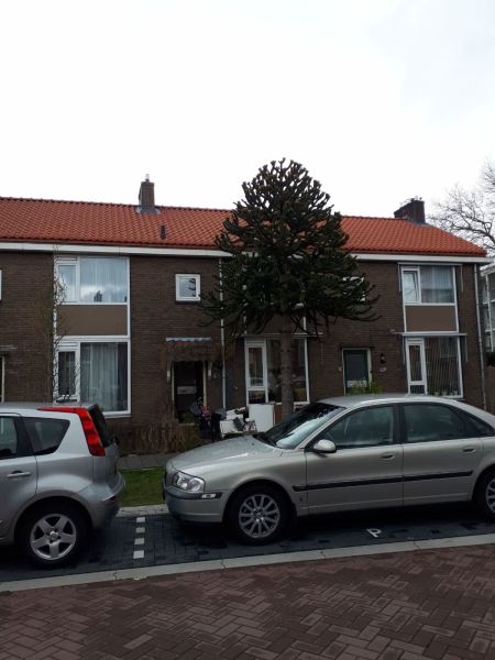 Barend Segglisstraat 15, 1505 AX Zaandam, Nederland