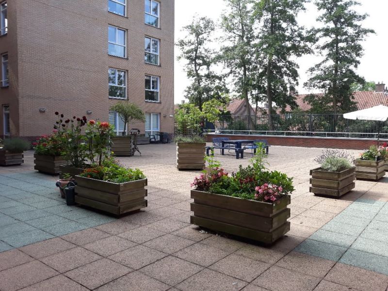 Nicolaas Beetsstraat 15