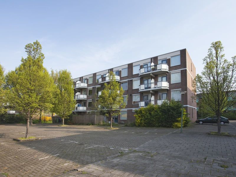 Pearl Buck-Erf 242, 3315 BG Dordrecht, Nederland