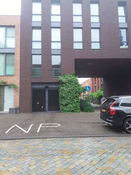 Alexandrine Tinnehof 2