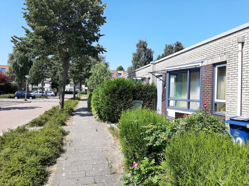 Java Legioenstraat 78