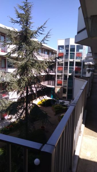 Jan Bijhouwerstraat 164