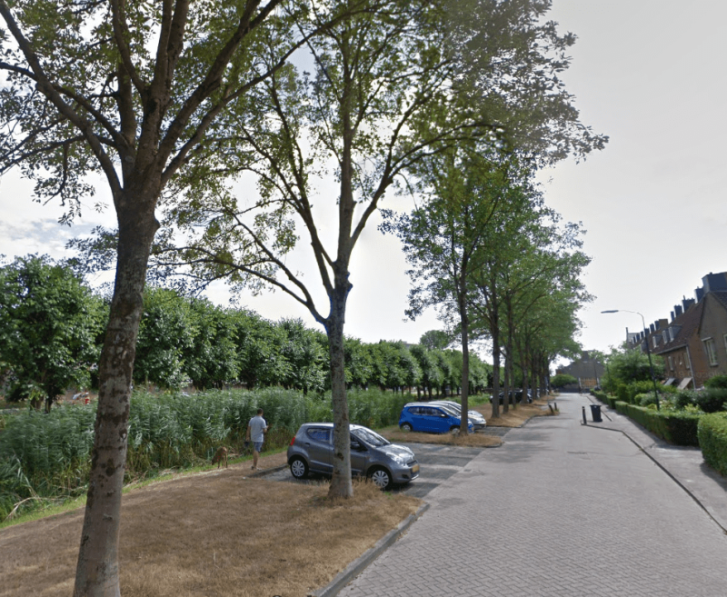 Vrouw Baertestraat 17