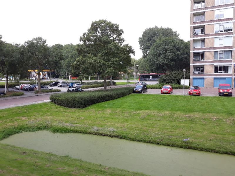 Tesselschadestraat 180