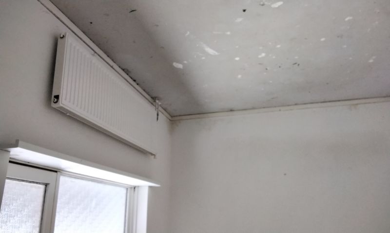 Adam van Germezhof 18