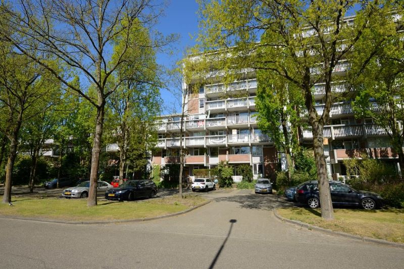 Warande 61, 3705 ZE Zeist, Nederland