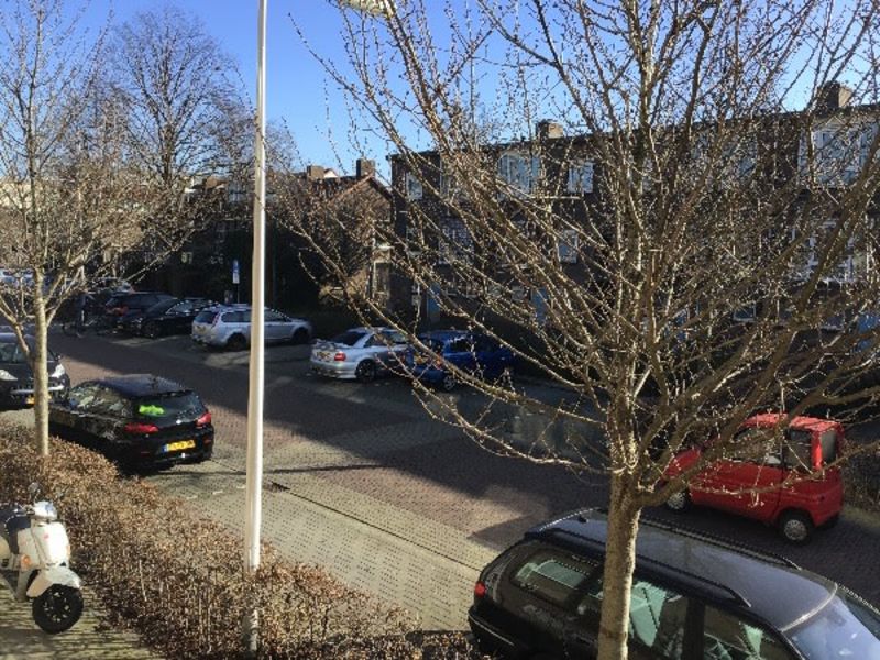 Prinses Irenestraat 65