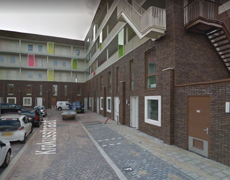 Krokusstraat 39