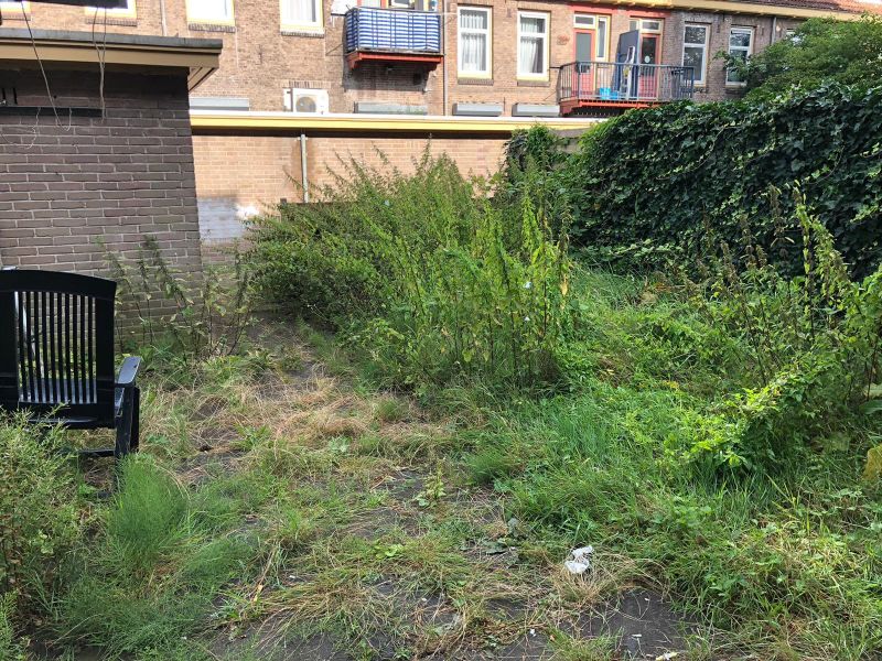 Jac. P. Thijsseplein 13HS