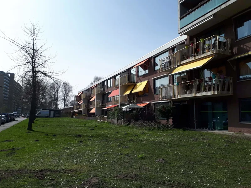 Panneroodstraat 49, 1503 XL Zaandam, Nederland