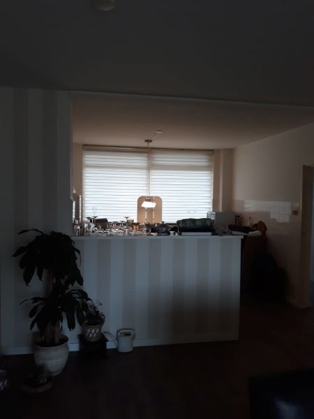 Constantijn Huygenslaan 99