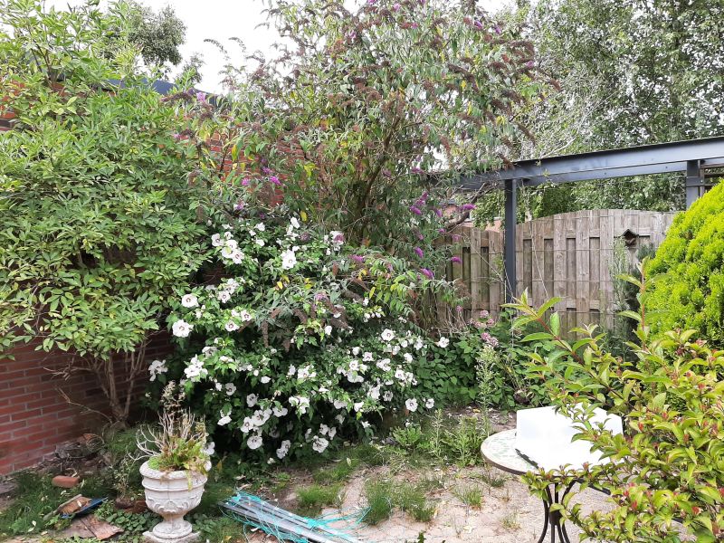 René Magrittestraat 14