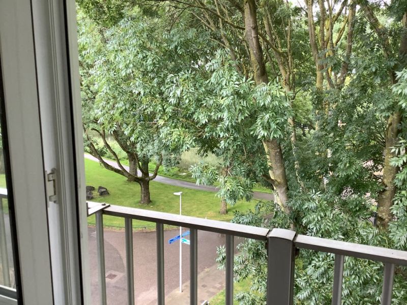 Lodewijk Napoleonplantsoen 36