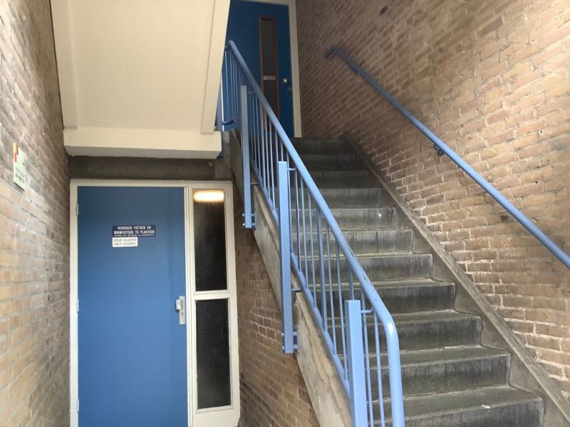 Lodewijk Napoleonplantsoen 36