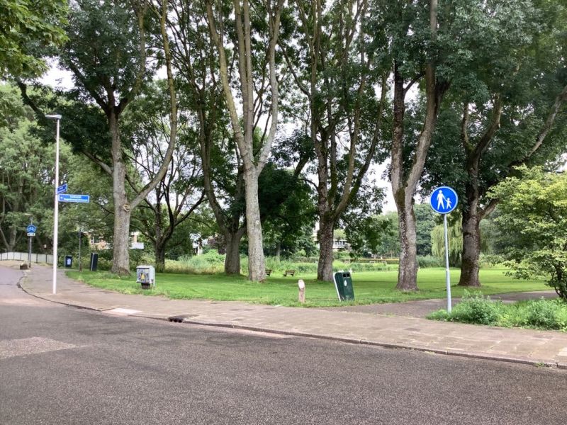 Lodewijk Napoleonplantsoen 36