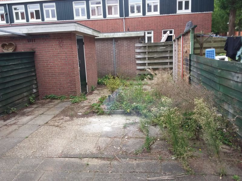 Graftdijkerstraat 14