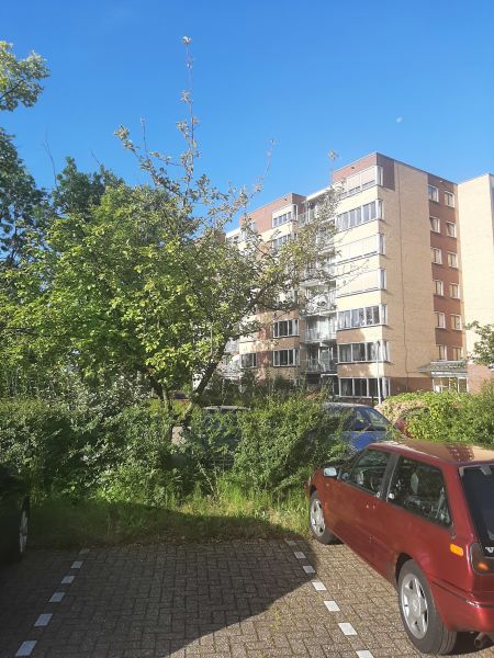 Piet Heinflat 63, 2132 TE Hoofddorp, Nederland