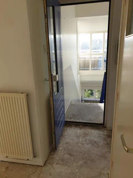 Nico van Suchtelenstraat 11