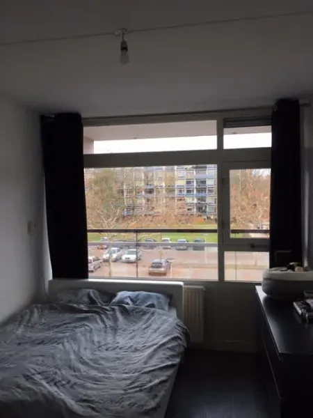 Vijfheerenlanden 445