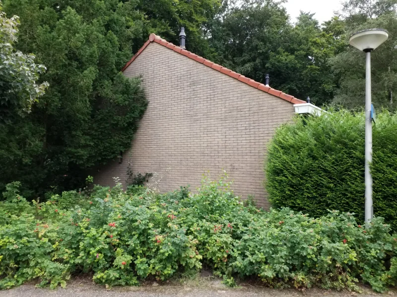 Kocherplantsoen 25